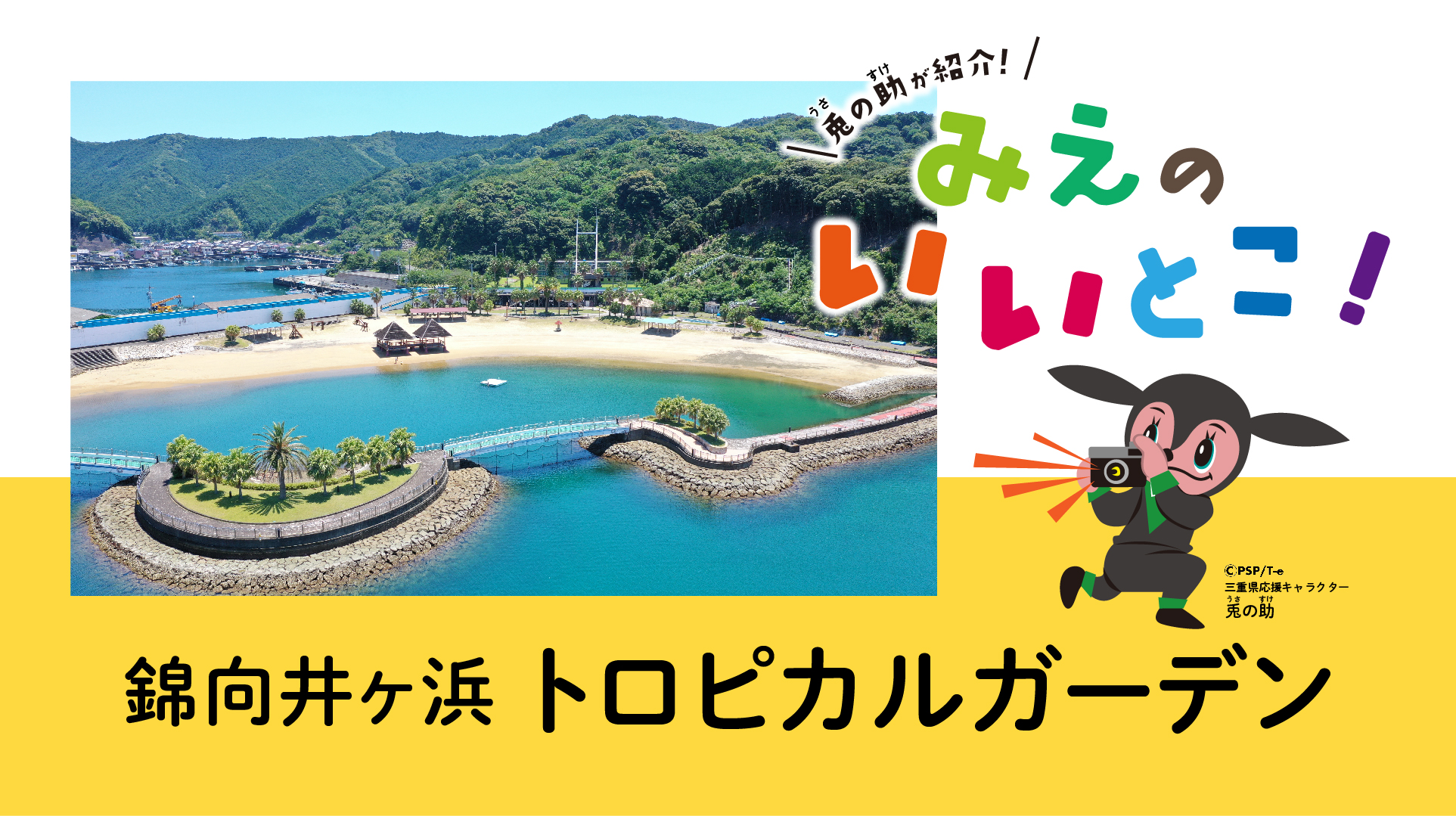 錦向井ヶ浜　トロピカルガーデン（令和4年8月号）