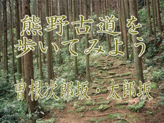 熊野古道コース紹介（曽根次郎坂・太郎坂コース）