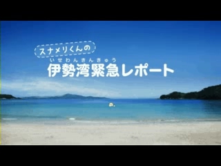 海岸漂着物啓発映像：伊勢湾緊急レポート