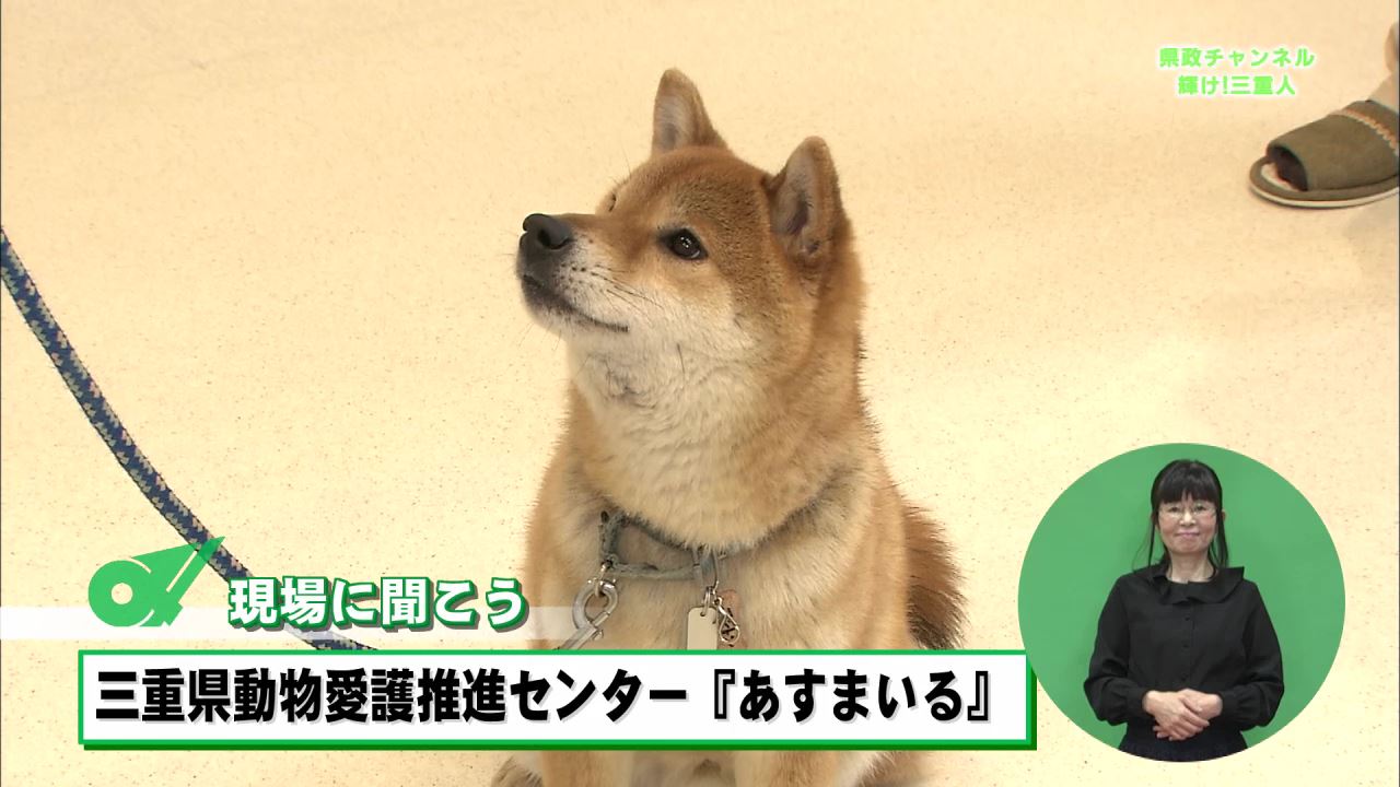 現場に聞こう　三重県動物愛護推進センター　あすまいる