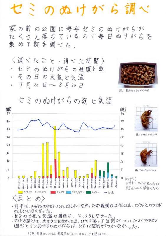 セミのぬけがら調べ