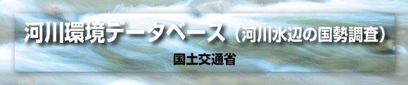 河川環境データベース