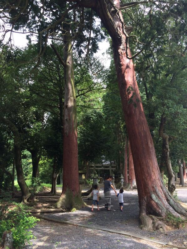 神社への道