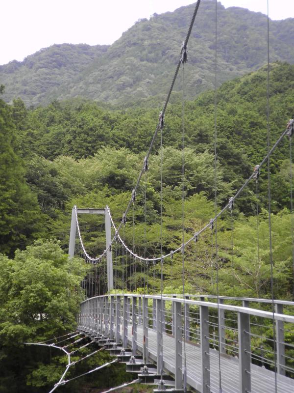 山に続く吊橋