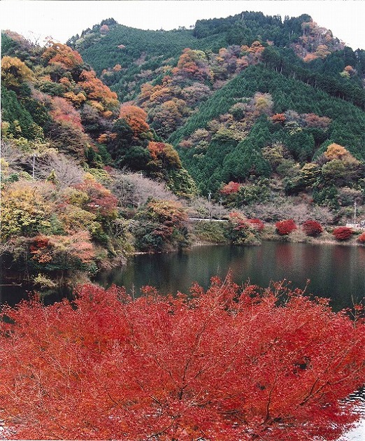 絶景哉!