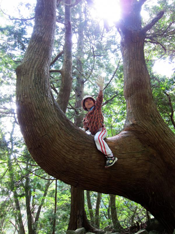 初めての山登り木登り