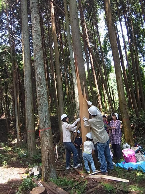 森もり元気になあれ!!