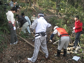 学校林整備