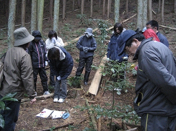 森林の色探し