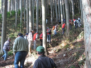 山林の見学