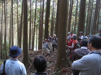 山林の見学