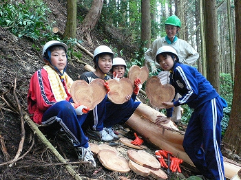 ヒノキ輪切りを持つ写真