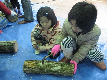 菌打ちの写真