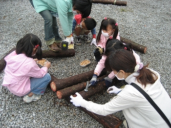 菌打ちの写真