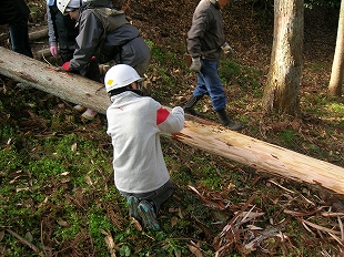 木の皮むき