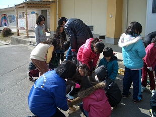 きのこの菌打ち体験