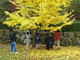 森林学習活動