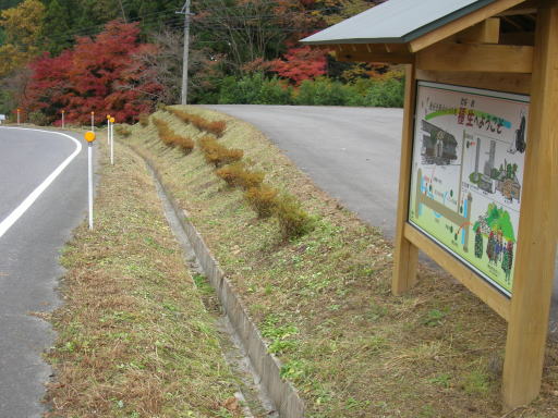 景観植物の植栽