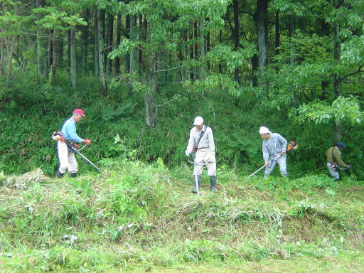 除草作業