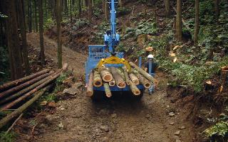 高性能林業機械を使用した森林施業