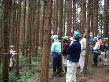 熊野古道周辺の森の健康診断