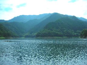 水源かん養保安林 津市