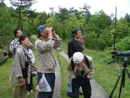 野鳥観察会