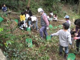 広葉樹植栽(常磐西小学校)