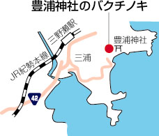 豊浦神社のバクチノキ周辺地図