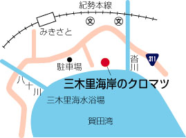 三木里海岸のクロマツ周辺地図