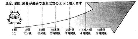 細菌の特徴イメージ