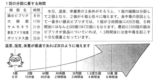 細菌の特徴のイメージ