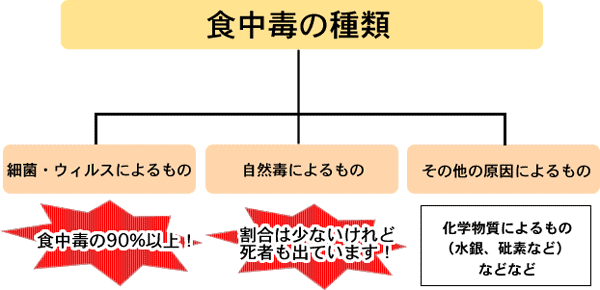 食中毒の種類