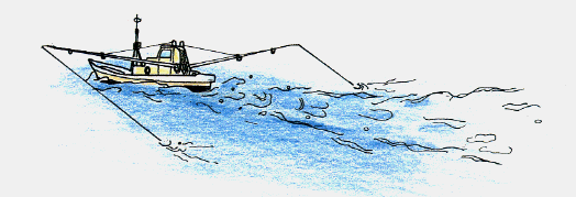 曳き縄釣り（ケンケン）の操業風景イラスト