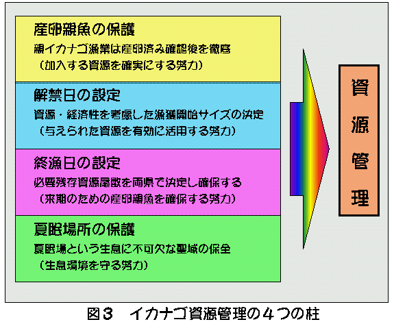 図３　イカナゴ資源管理４つの柱