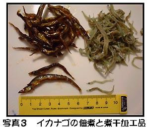 写真3 イカナゴの佃煮と煮干加工品