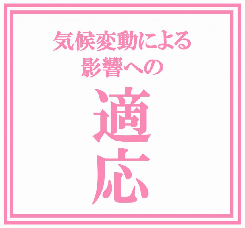 気候変動による影響への適応