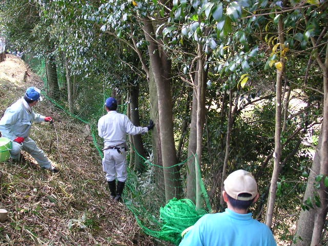 集落で、耕地と山の際に、シカ用ネットを張って被害を防ごうと頑張っています。労力低減のために、立ち木を利用しています。