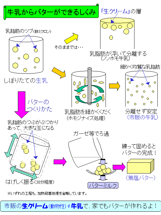 牛乳からバターをつくる方法などを示した図です。