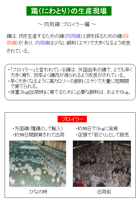 肉用鶏（ブロイラー編）の生産現場について示した図です。