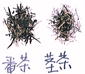 番茶　茎茶