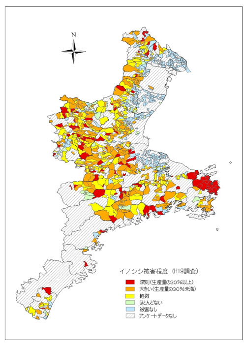 被害状況調査（イノシシ）