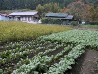 2003年11月の様子