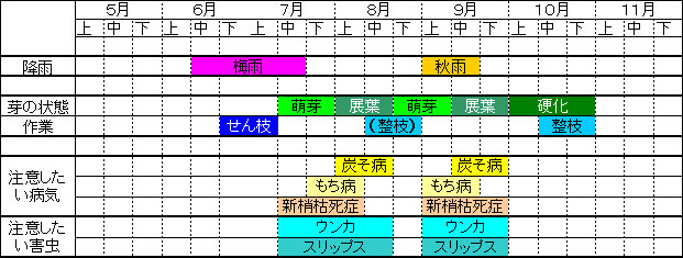 二番茶直後の更新