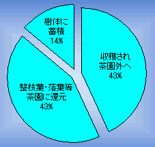 茶樹が吸収した窒素の行方と一番茶摘採後の窒素吸収量推移（保科１９８５より編）