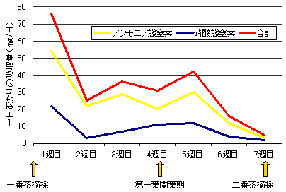 茶樹が吸収した窒素の行方と一番茶摘採後の窒素吸収量推移（保科１９８５より編）