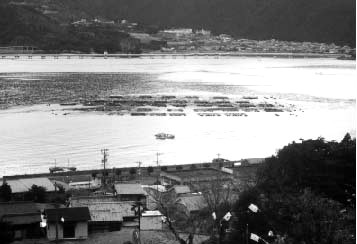 海に面した写真中央の陸屋根が尾鷲分場