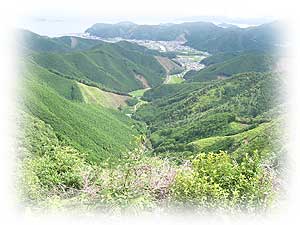 ツヅラト峠からの眺め