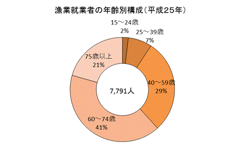 平成25年　年齢別構成