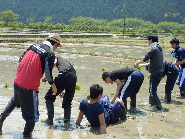 コケることも